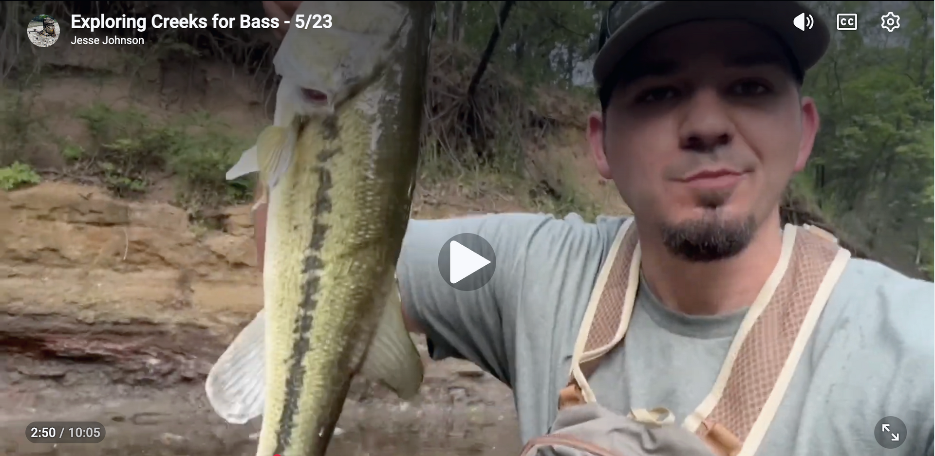 Load video: bass fly fishing