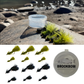 12-Piece Woolly Bugger Kit