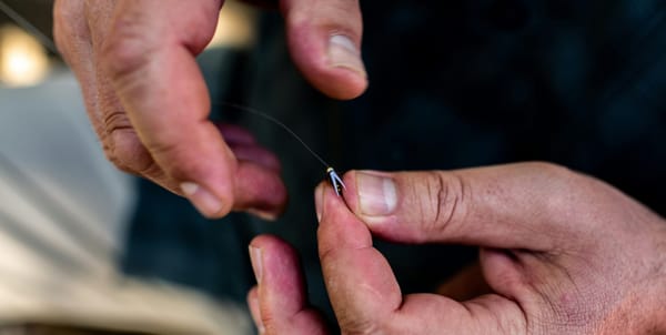 Fishing Flies 101: A Beginner’s Guide to Fly Fishing