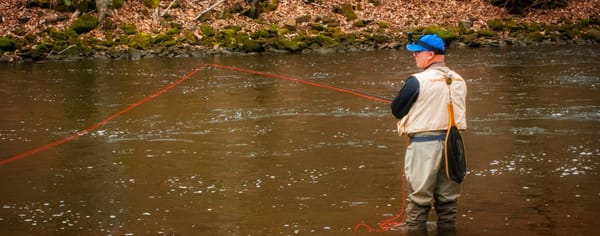 Fly Fishing Tips for Beginners: Get Started with the Right Flies and Gear