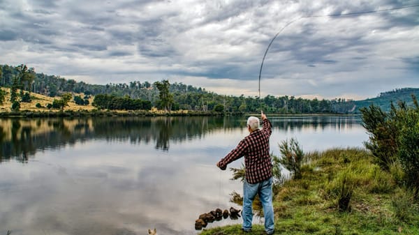 How to Nail Your Fly Casting Accuracy: 7 Tips to Up Your Game and Hook More Fish